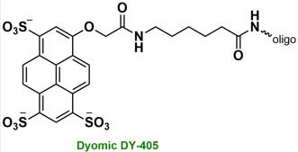 Bio-Synthesis Inc. Oligo Structure